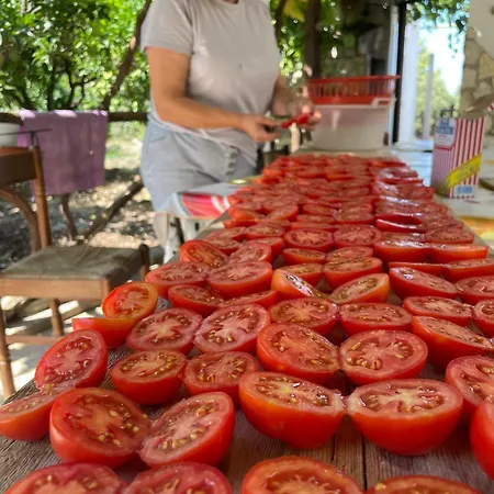 Millepini Peschici